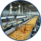 Food Processing Picture